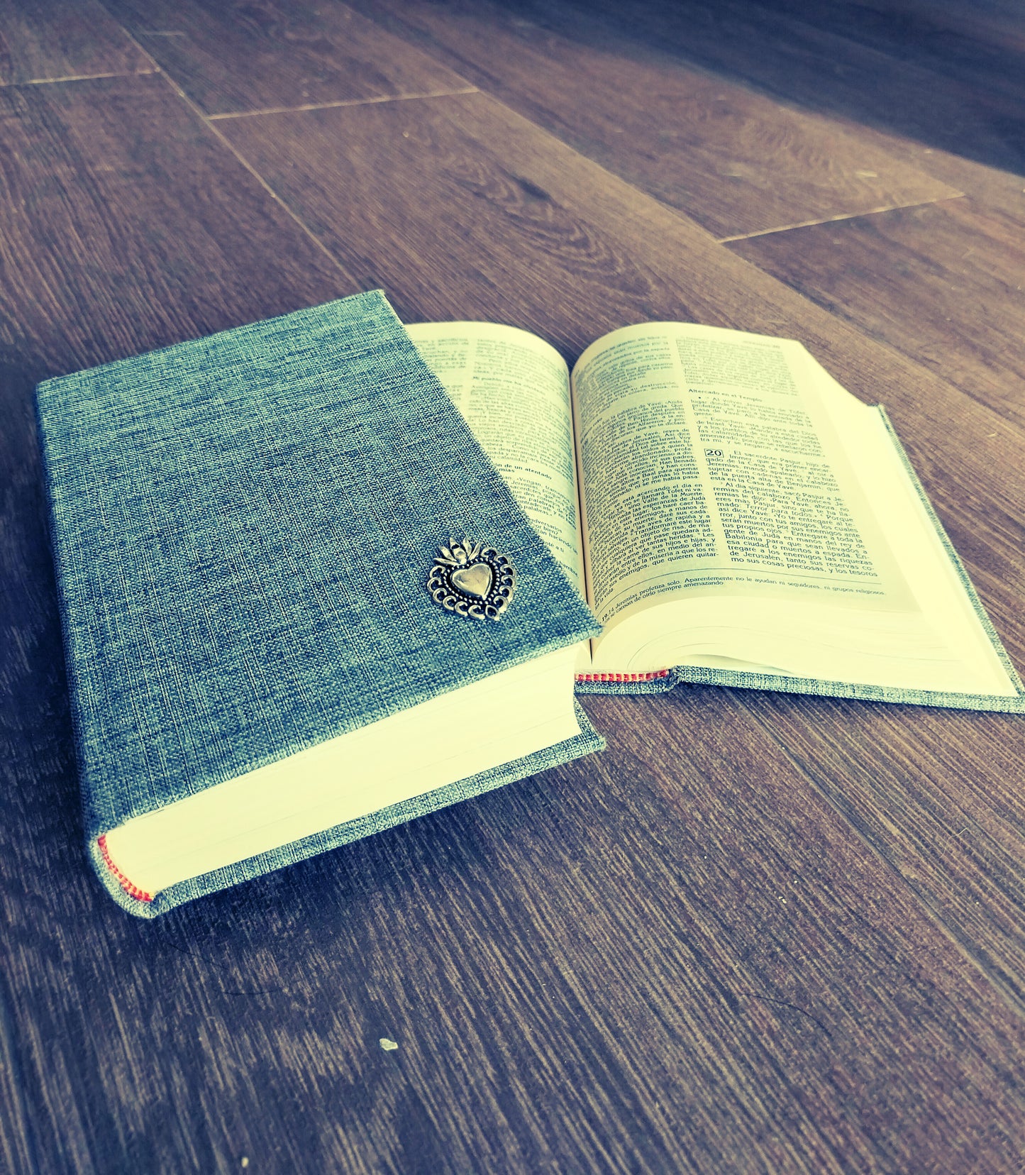 Biblia Lino Gris