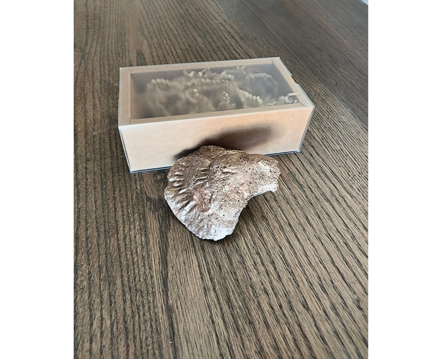 Concha Virgen de Guadalupe