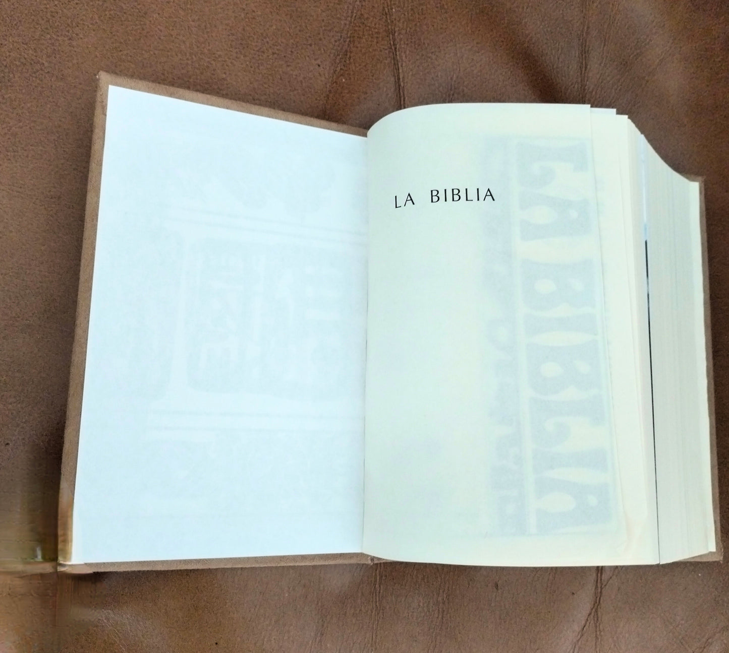 Biblia Forrada con Detalle de Metálico