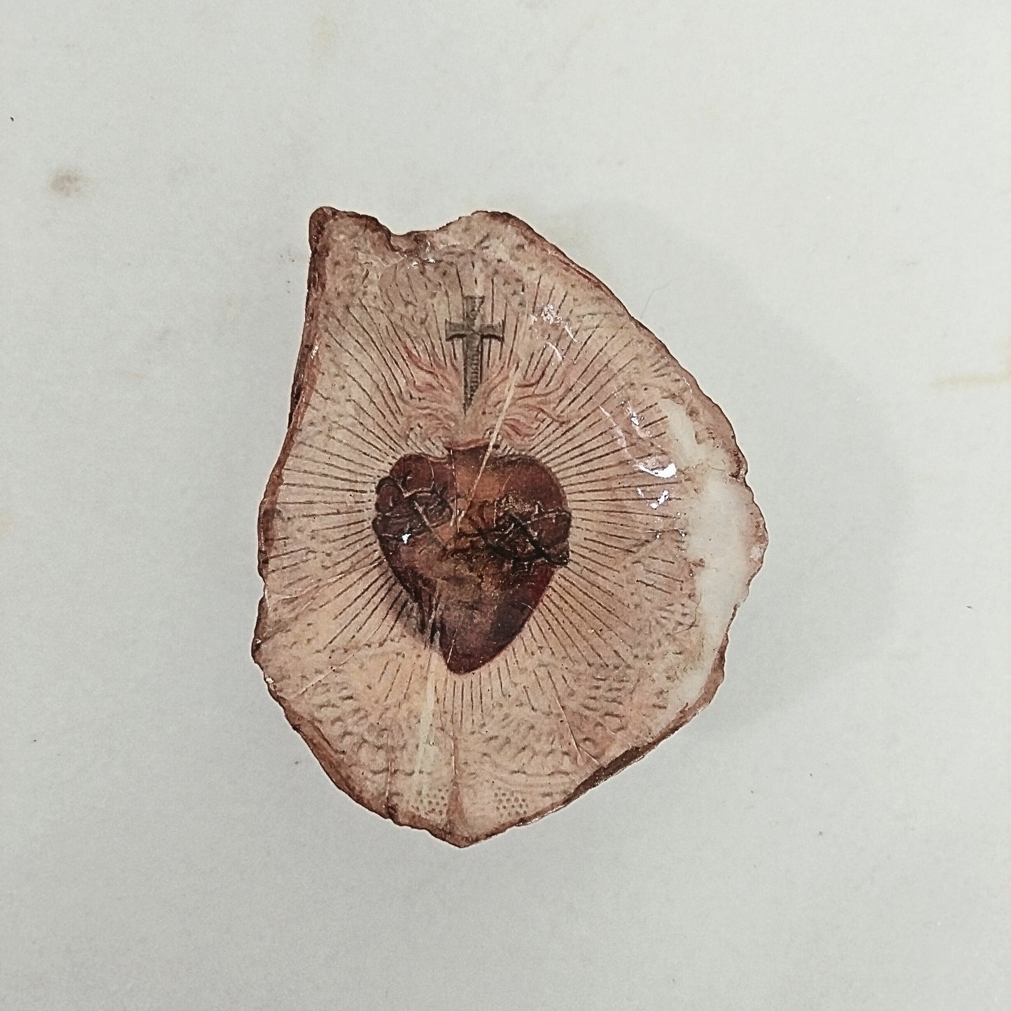 Concha Corazón de Jesús