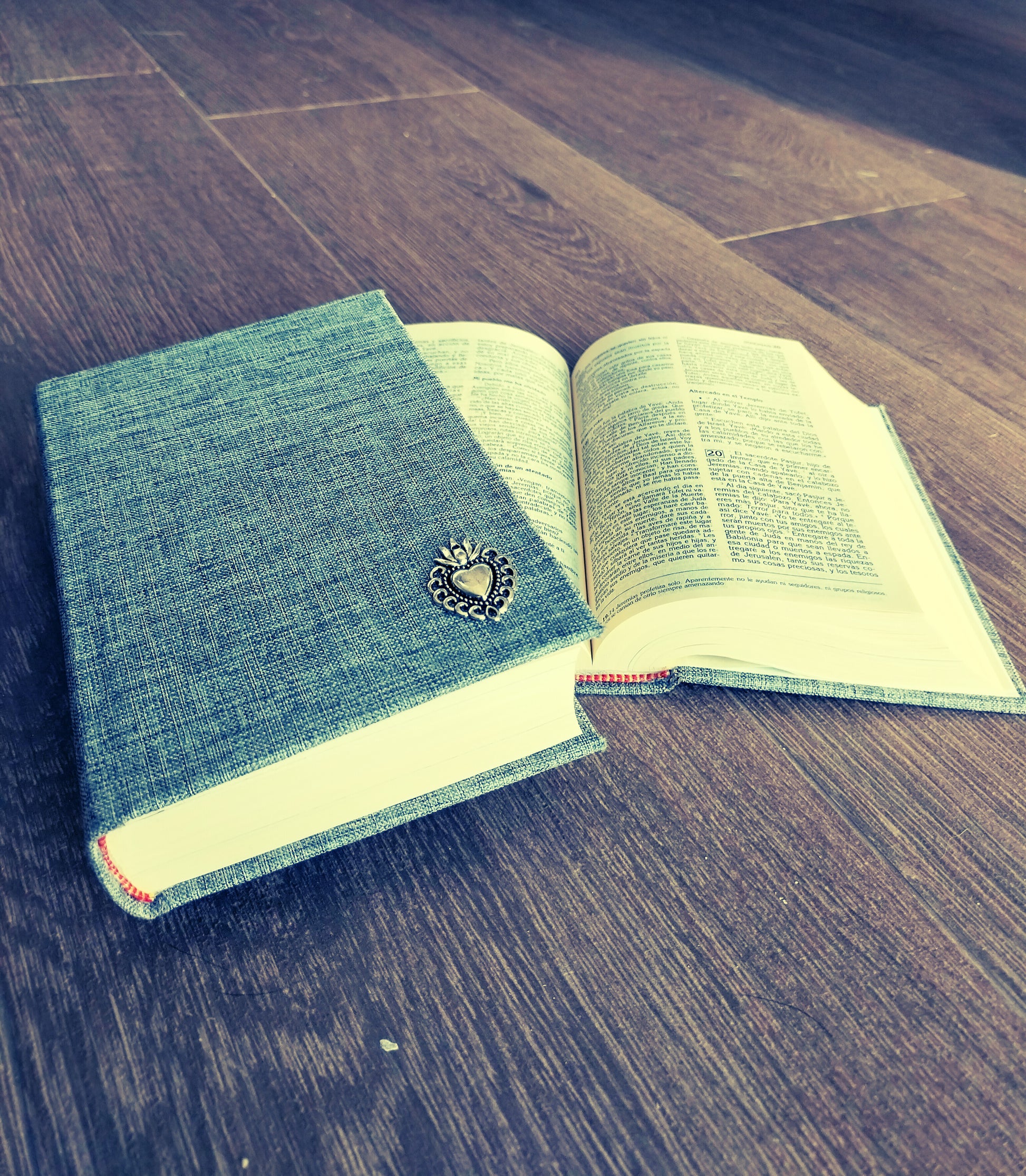Biblia Lino Gris