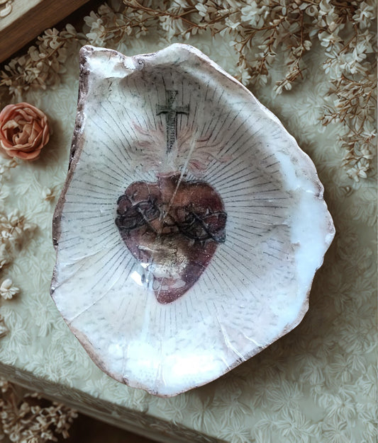 Concha Corazón de Jesús